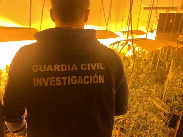 Cultivo de marihuna desarticulado por la Guardia Civil. (GUARDIA CIVIL)