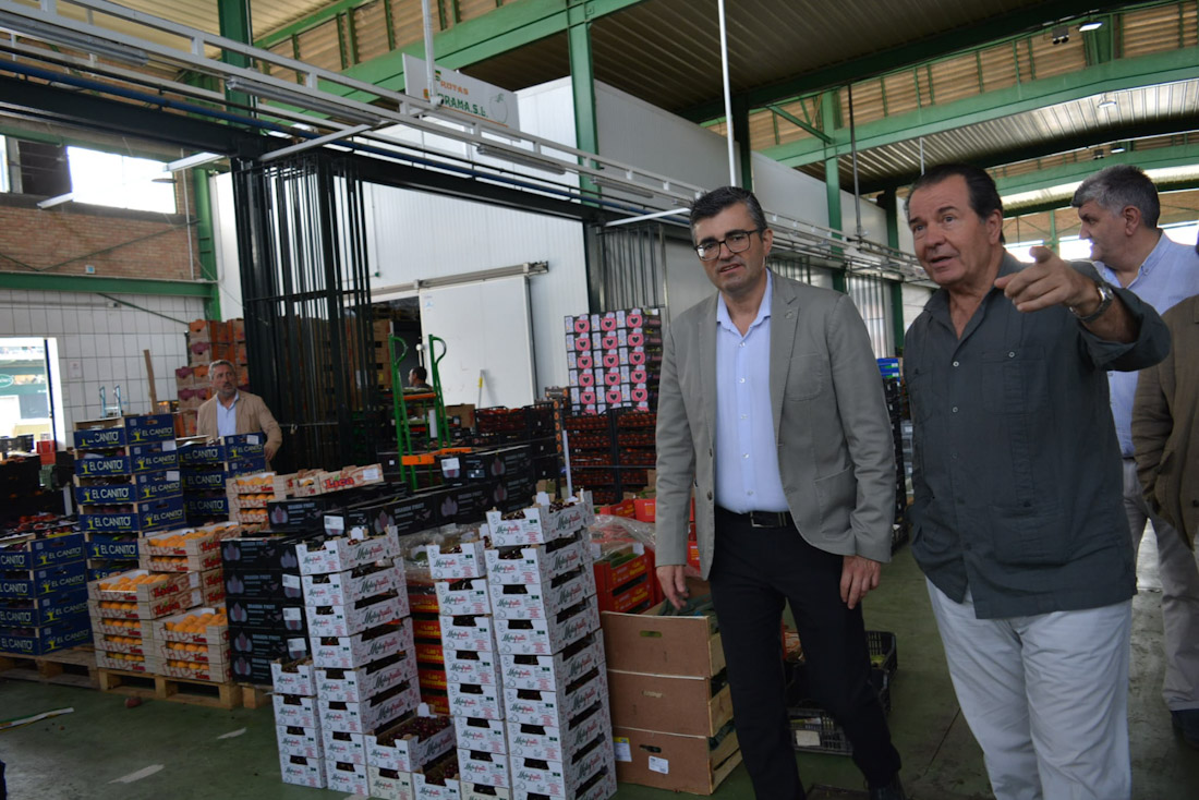 Imagen de la visita a Merca Granada (JUNTA)