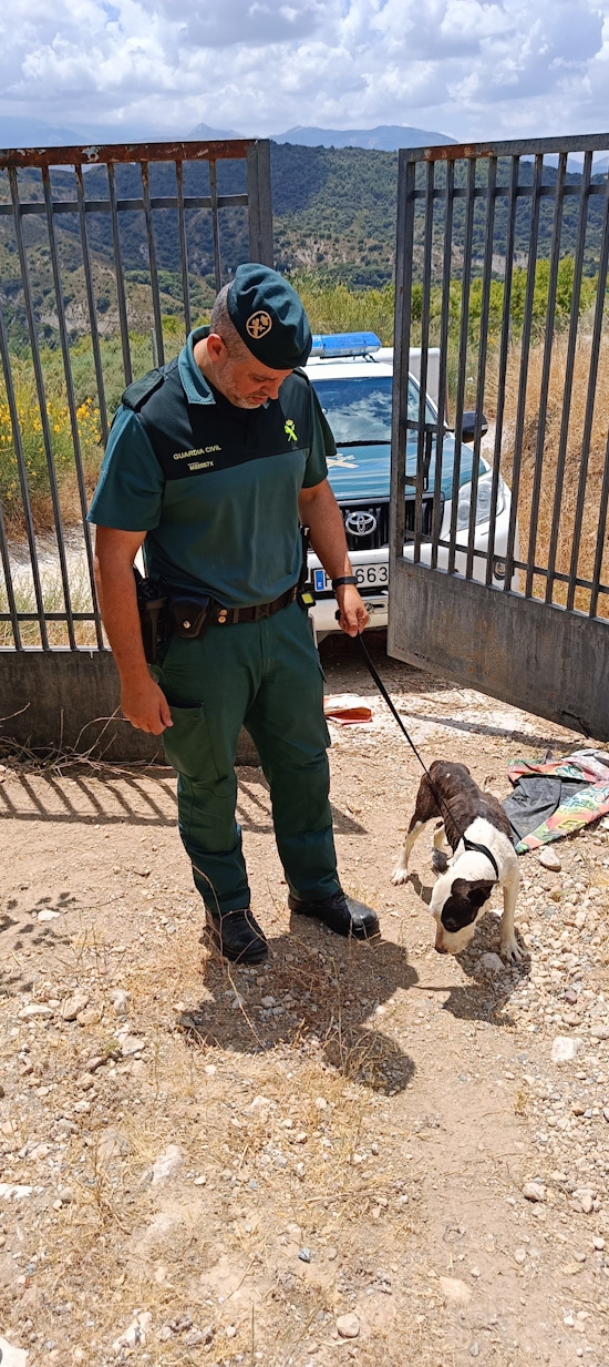 Agente de la Guardia civil (GUARDIA CIVIL)