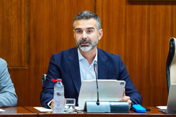 El consejero de Sostenibilidad, Medio Ambiente y Economía Azul, Ramón Fernández-Pacheco, en Comisión del Parlamento de Andalucía (JOAQUÍN CORCHERO/PARLAMENTO DE ANDALUCÍA)