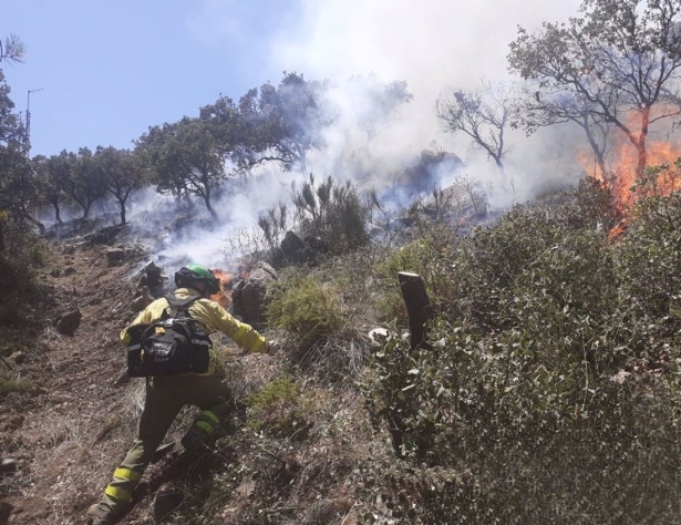 Bomberos del Infoca trabajan en la extinción de un incendio. Archivo. (JUNTA DE ANDALUCÍA ) Bomberos del Infoca trabajan en la extinción de un incendio. Archivo. (JUNTA DE ANDALUCÍA )