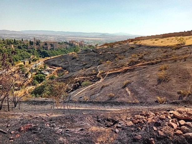 Estado del terreno afectado por el incendio (INFOCA)