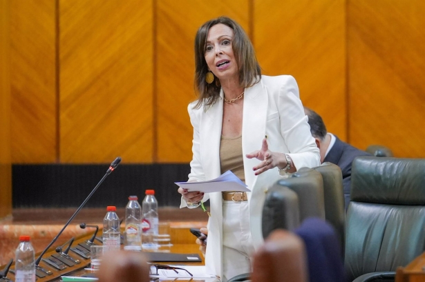La consejera de Fomento, Articulación del Territorio y Vivienda, Rocío Díaz durante la intervención en la segunda jornada del Pleno del Parlamento andaluz. (FRANCISCO J. OLMO - EUROPA PRESS)