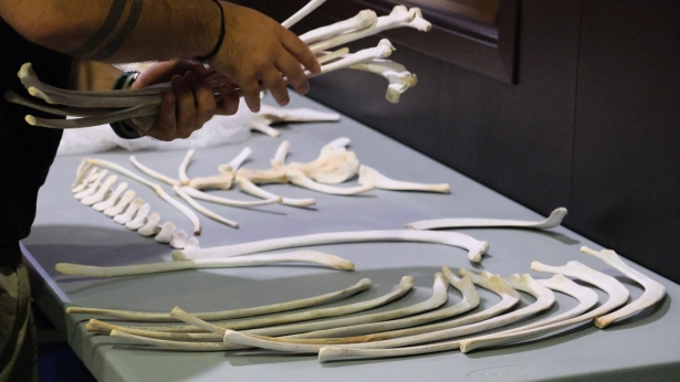 (PARQUE DE LAS CIENCIAS)