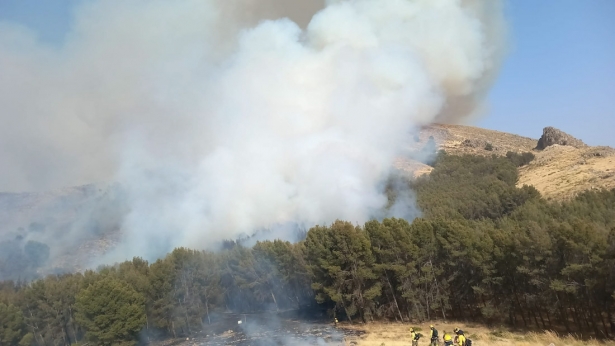 Incendio de Pinos Puente (INFOCA)