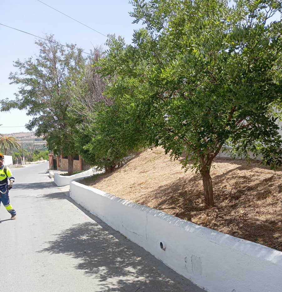 (AYUNTAMIENTO GUADIX)