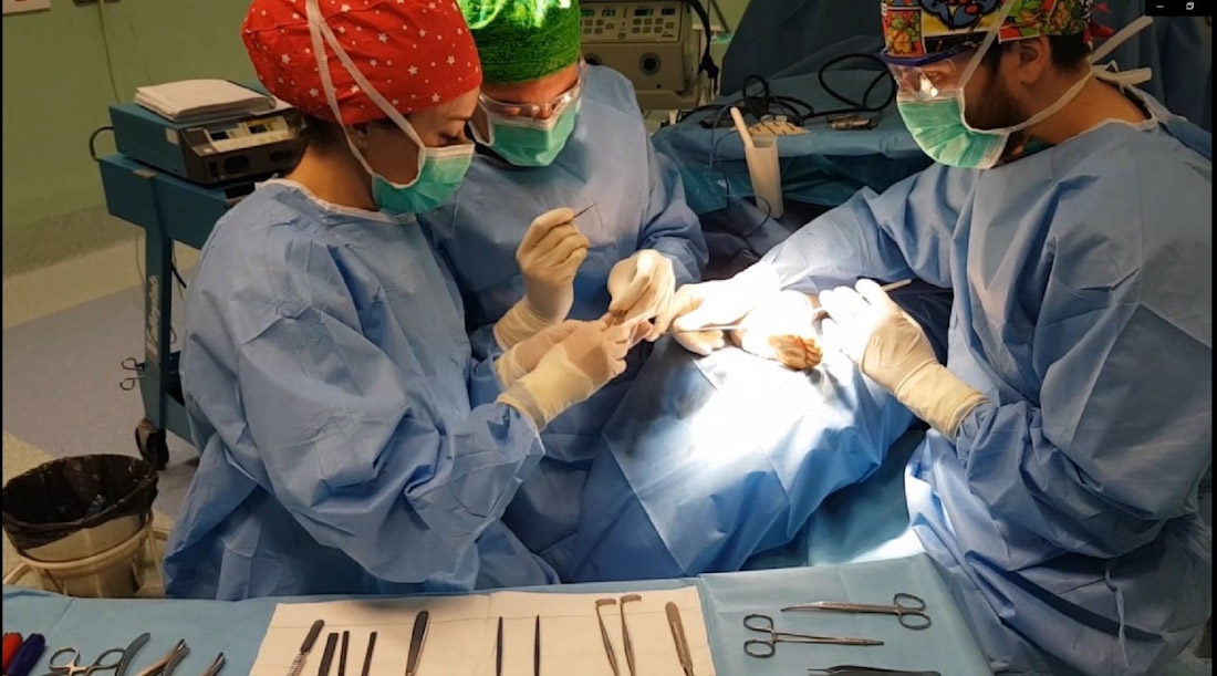 Cirugía en el hospital de Guadix (JUNTA DE ANDALUCÍA)