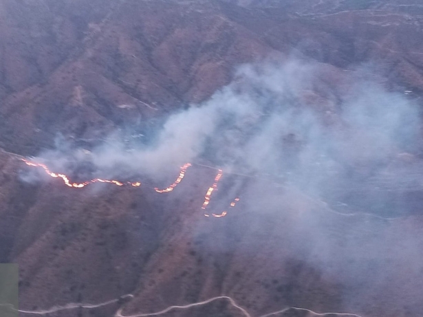 Incendio en Peña Escrita (INFOCA) Incendio en Peña Escrita (INFOCA)