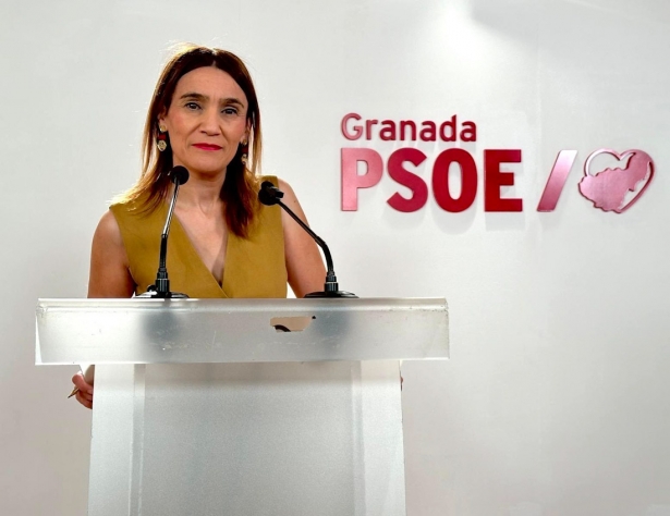 (PSOE) (PSOE)