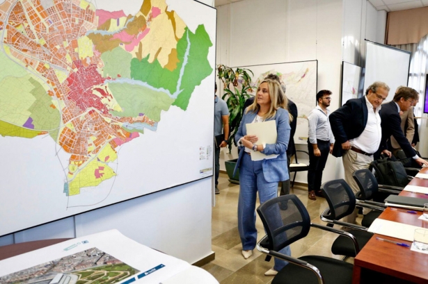 Imagen de la reunión (AYTO. GRANADA)