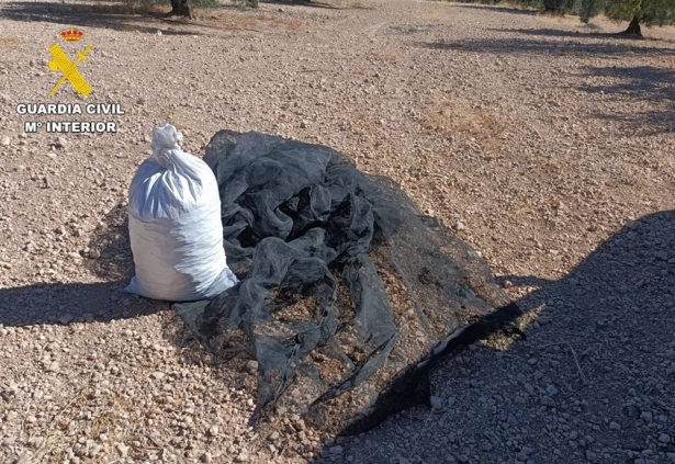 Almendras recuperadas. (GUARDIA CIVIL) Almendras recuperadas. (GUARDIA CIVIL)