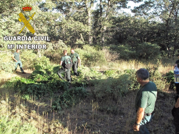 Imagen de archivo de una intervención en la Alpujarra de Granada (GUARDIA CIVIL) Imagen de archivo de una intervención en la Alpujarra de Granada (GUARDIA CIVIL)