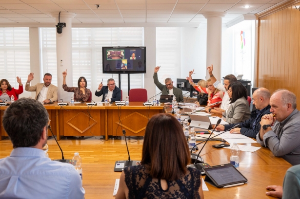 Pleno del Ayuntamiento de Armilla (AYTO. ARMILLA)