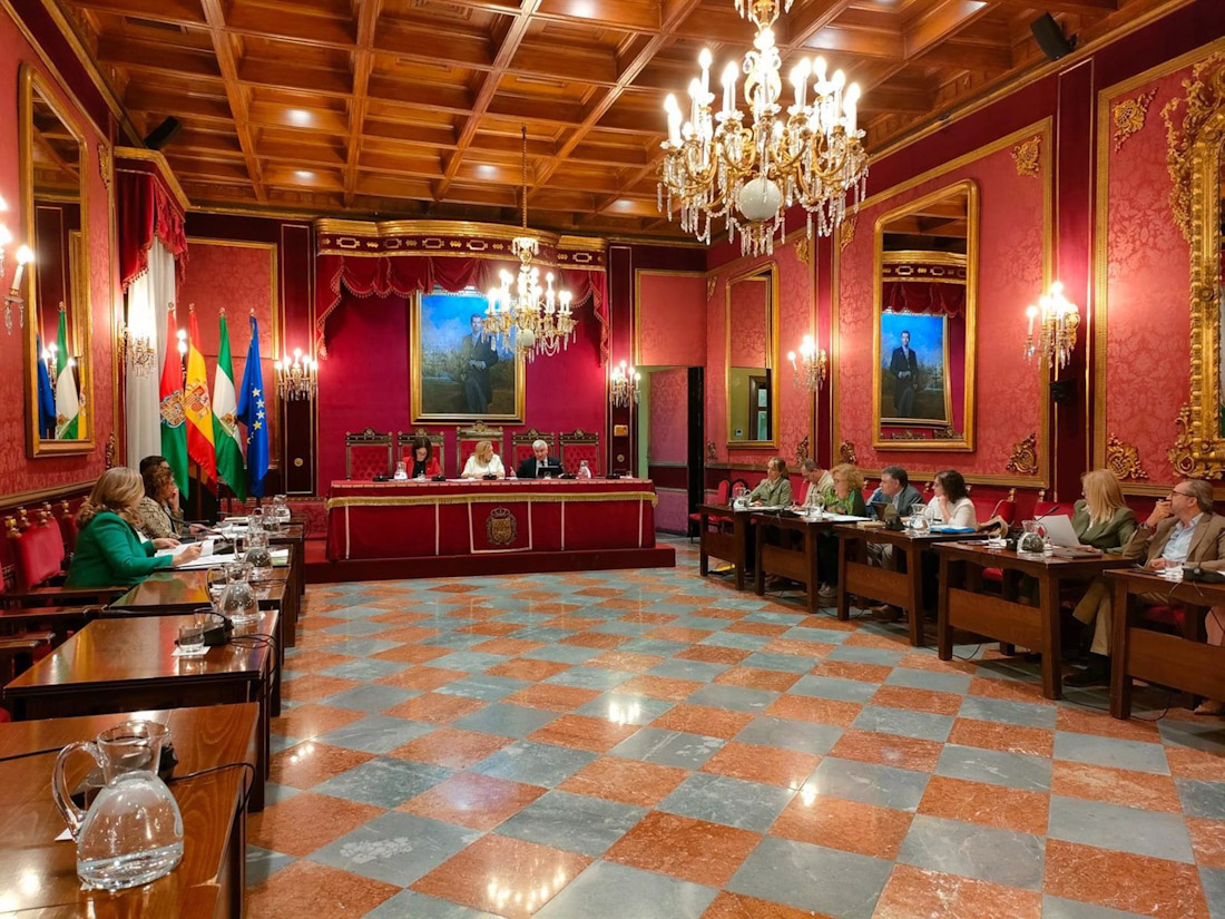 Comisión informativa de Economía en el Ayuntamiento de Granada (EUROPA PRESS)