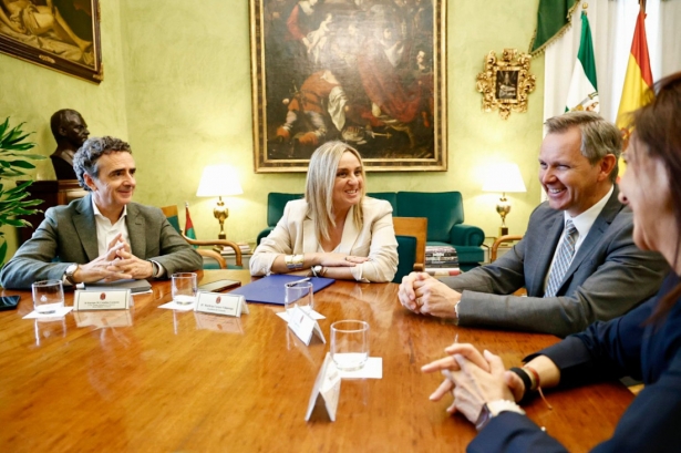 Imagen de la reunión (AYTO. GRANADA) Imagen de la reunión (AYTO. GRANADA)