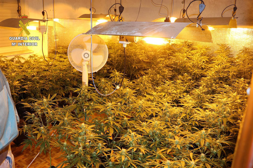 Plantación `indoor` de marihuana desmantelada por la Guardia Civil, en imagen de archivo (EUROPA PRESS)