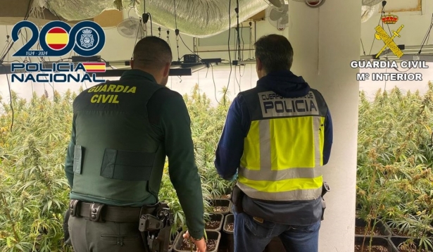 Operación antidroga en Ogijares (POLICIA NACIONAL)