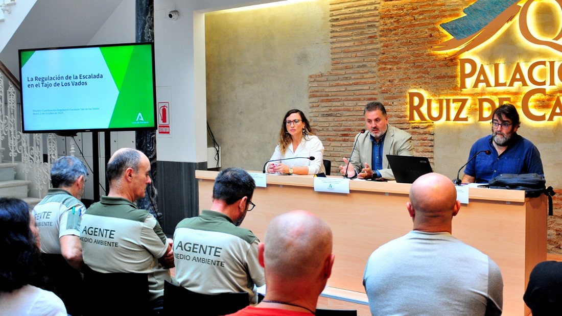 Imagen de la rpesentación (JUNTA)