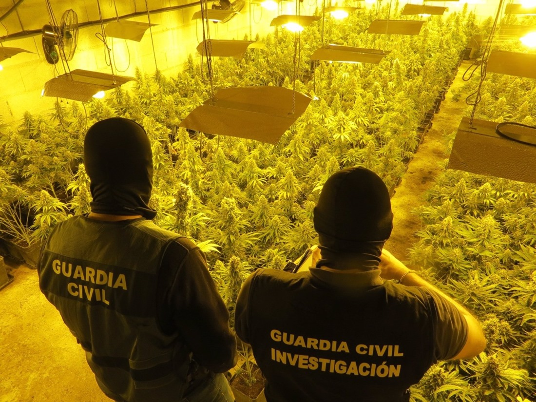 Centro de producción de marihuana en imagen de archivo (GUARDIA CIVIL)