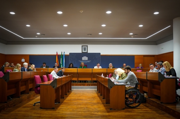 Pleno del Ayuntamiento de Motril (AYUNTAMIENTO)