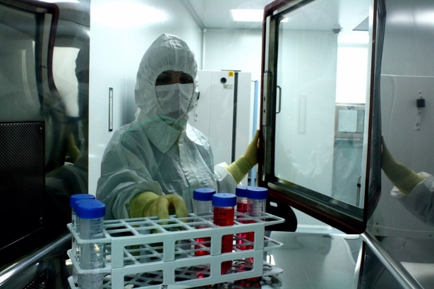 Imagen de archivo de trabajos en terapias avanzadas (JUNTA) Imagen de archivo de trabajos en terapias avanzadas (JUNTA)