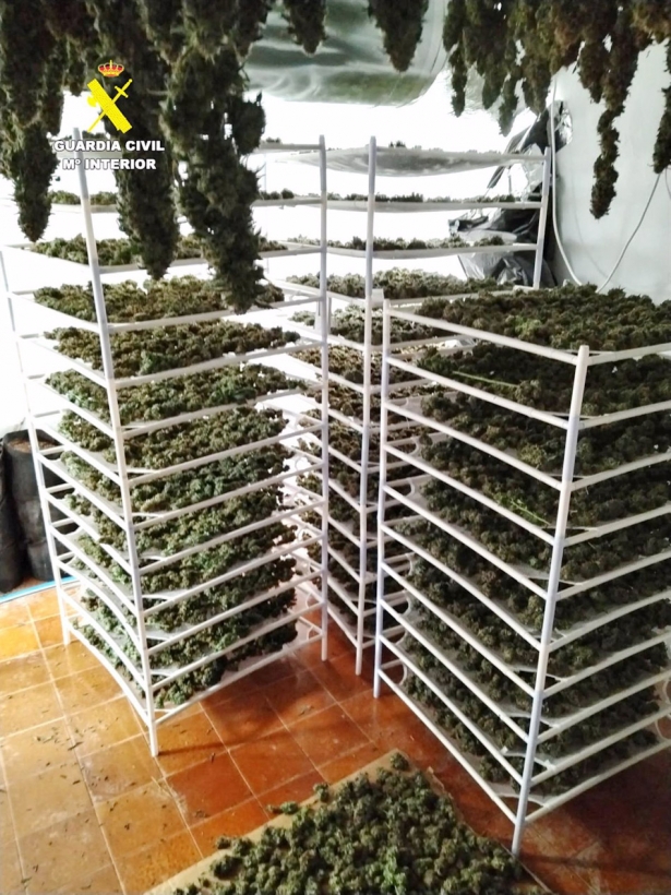 Marihuana intervenida en Loja (GUARDIA CIVIL(
