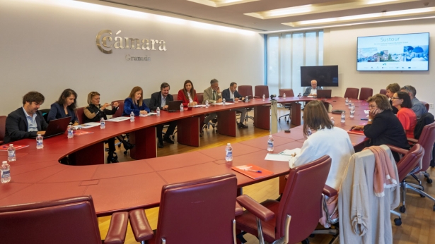 Vista panorámica de la reunión (CÁMARA GRANADA)