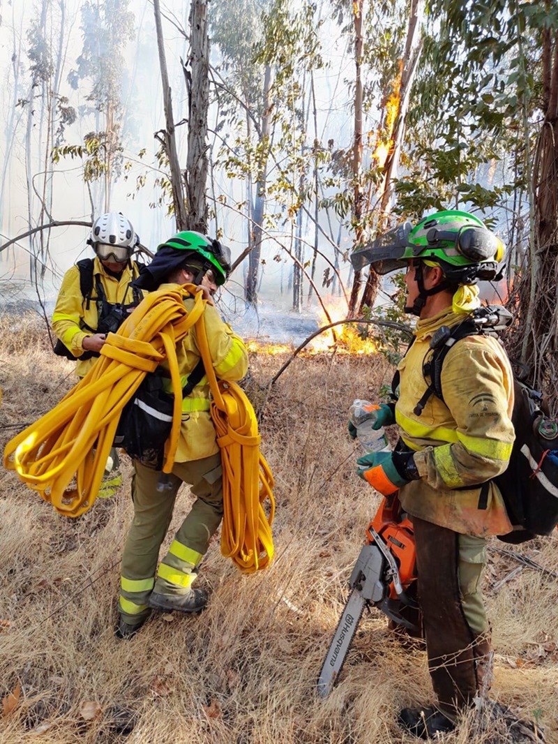 Efectivos del Plan Infoca en una imagen de archivo. (PLAN INFOCA)
