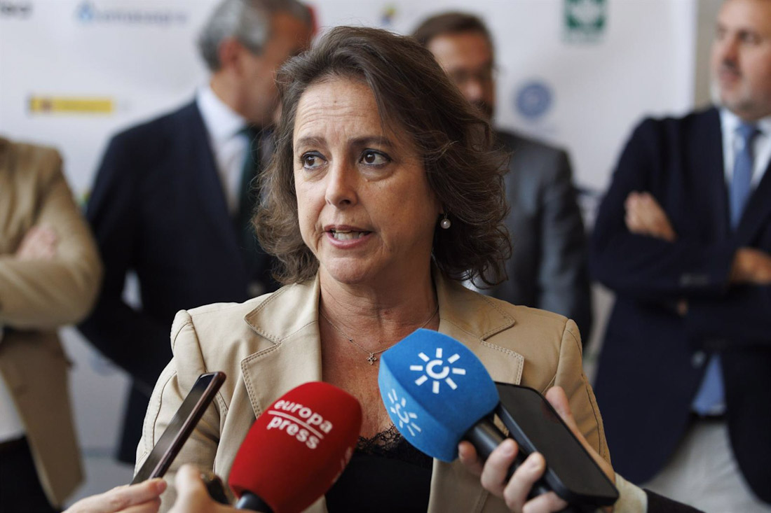 La consejera de Sostenibilidad y Medio Ambiente, Catalina García, atiende a los medios de comunicación en la inauguración del congreso (ÁLEX CÁMARA - EUROPA PRESS)