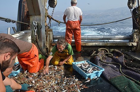 Pescadores de Motril (OTEA GRANADAL