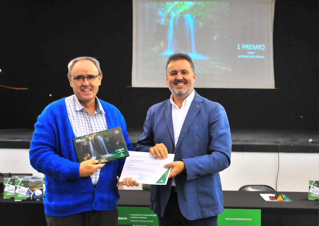 Entrega de los premios (JUNTA)