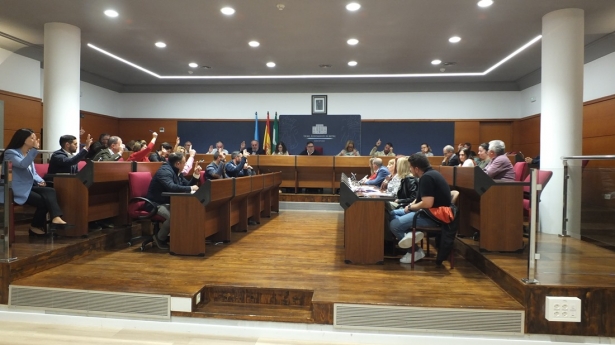 Pleno de la Mancoomundiad de la Costa Tropical (MANCOMUNIDAD)