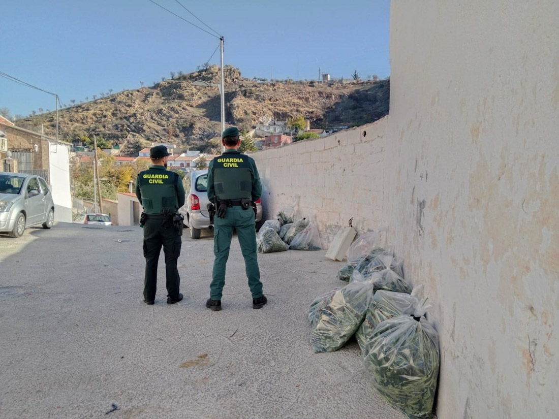 Imagen de la operación Glorius de la Guardia Civil en Pinos Puente (GUARDIA CIVIL)