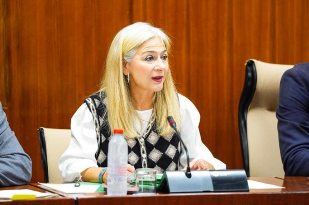 La consejera de Cultura y Deporte, Patricia del Pozo (JUNTA) La consejera de Cultura y Deporte, Patricia del Pozo (JUNTA)