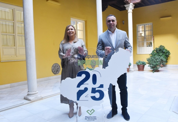 Presentación del proyecto de presupuestos (DIPGRA)