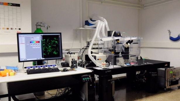 Laboratorio (UNIVERSIDAD DE GRANADA)