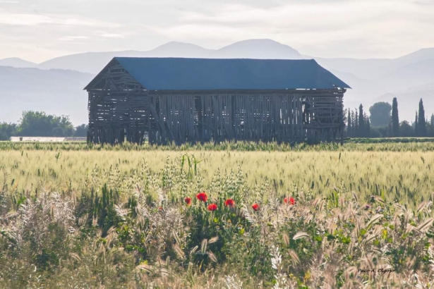 Secadero de Cúllar Vega (AYTO. CÚLLAR VEGA)