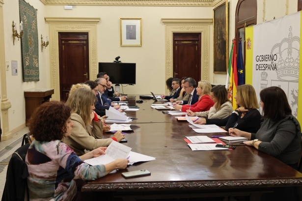 Comisión del PFEA (SUBDELEGACIÓN)