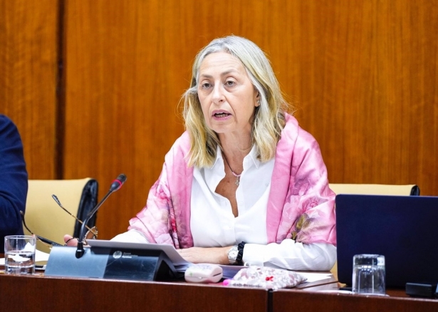 La Consejera de Salud y Consumo, Rocío Hernández, en comisión parlamentaria el 20 de noviembre de 2024 (JOAQUÍN CORCHERO/PARLAMENTO DE ANDALUCÍA)