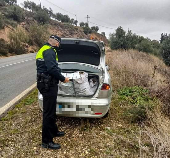 (POLICÍA LOCAL ÍLLORA)