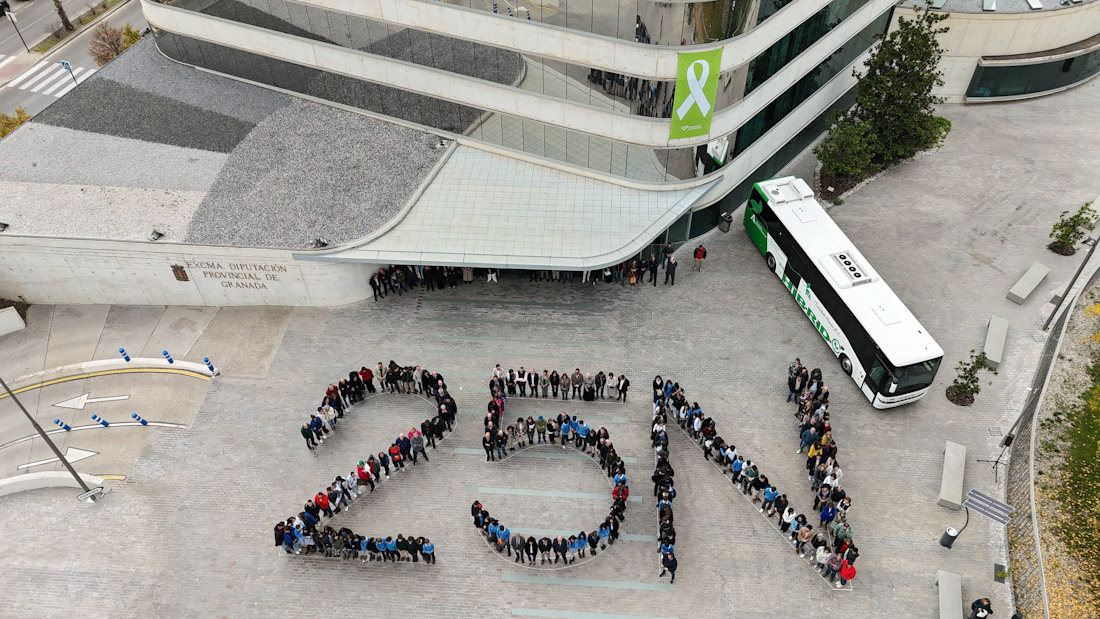 Imagen del mosaico (DIPGRA)