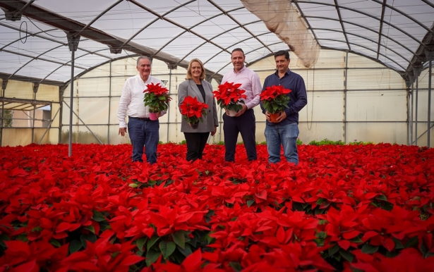 (AYUNTAMIENTO MOTRIL)