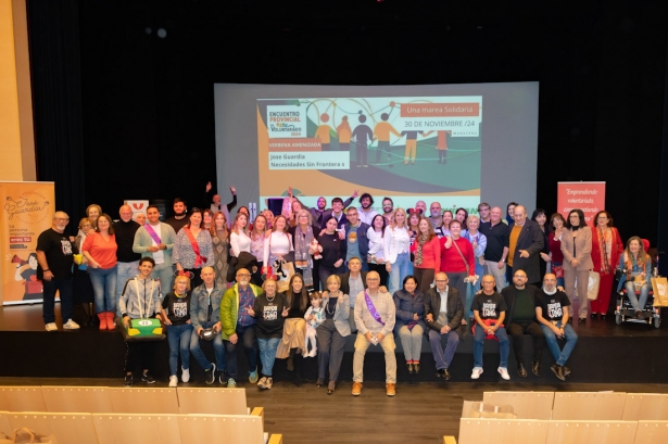 (PLATAFORMA DEL VOLUNTARIADO)