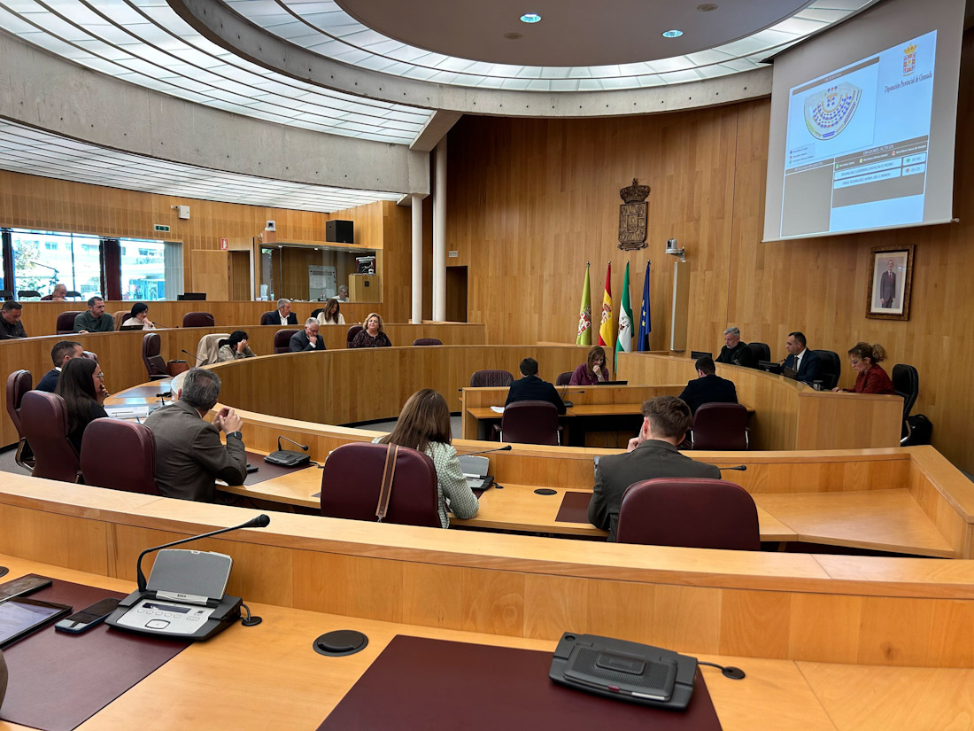 Pleno extraordinario de la Diputación de Granada (DIPGRA)
