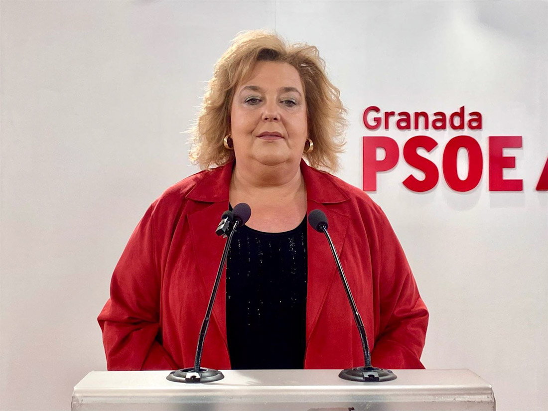 La diputada provincial del PSOE Fátima Gómez, en imagen de archivo (PSOE)