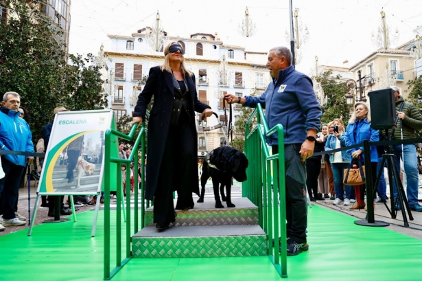 Exhibición de perros guías (AYTO. GRANADA)