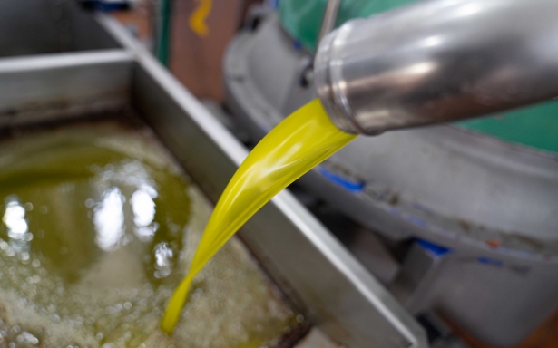 Producción de aceite (E. LÓPEZ)