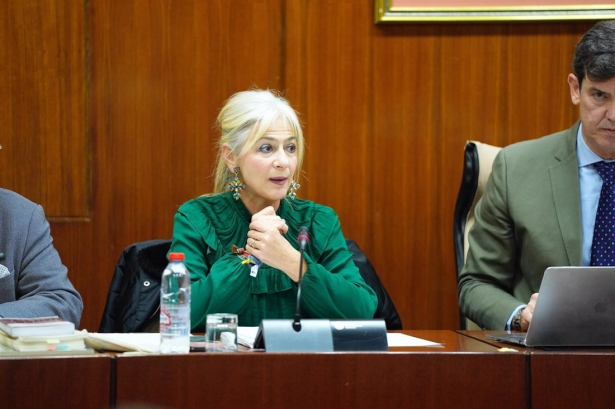 La consejera de Cultura y Deporte, Patricia del Pozo, en comisión parlamentaria el 10 de diciembre de 2024 (JOAQUÍN CORCHERO/PARLAMENTO DE ANDALUCÍA)