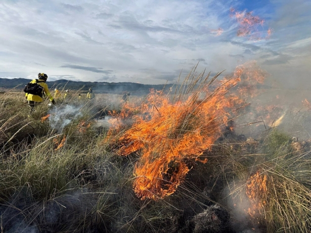 Fuego de la quema prescrita en el monte público de Cerros de Abajo (PERFIL DEL INFOCA EN X)