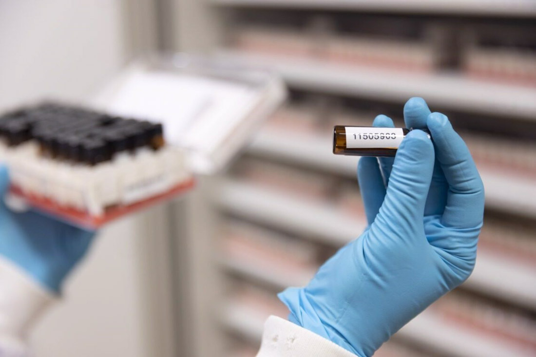 La IA contribuye a cuestiones como el cribado y diseño de fármacos antitumorales que lleva a cabo el programa de Terapias Experimentales del CNIO (LAURA M. LOMBARDÍA / CNIO)